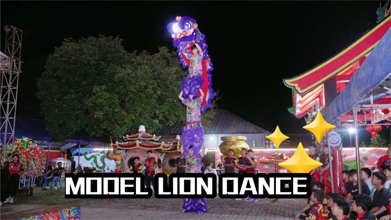 PENAMPILAN BARONGSAI MODEL LION DANCE DI SEJIET TJO SU BIO KE 76 TAHUN 🙌