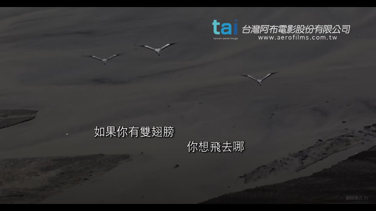 「鳥目台灣」簡介 Taiwan from the Air