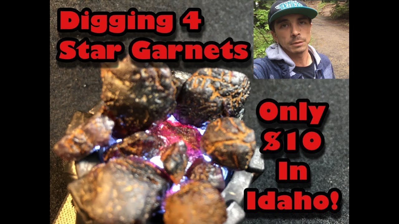 Tons Of Garnets @ Emerald Creek Star Garnet Area - Mining America Ep10 6/24/16