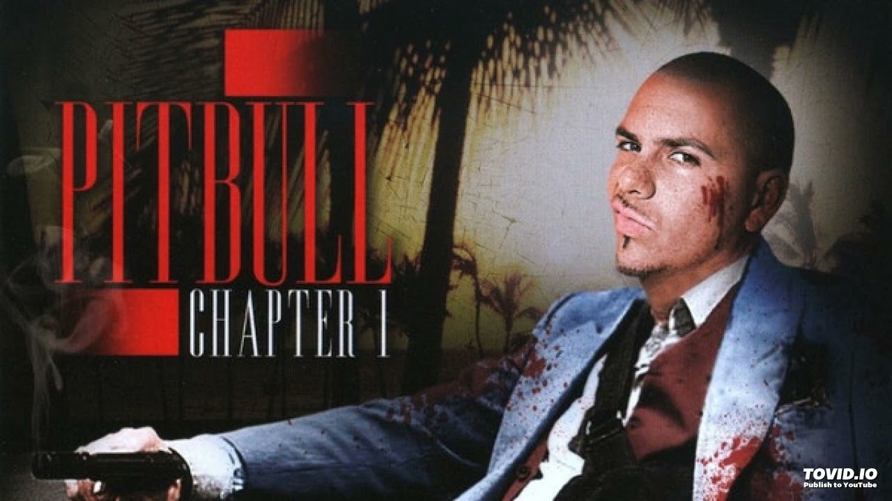 Pitbull Paper Boy