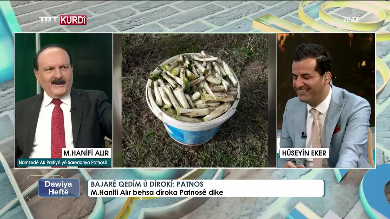 AĞRI Patnos