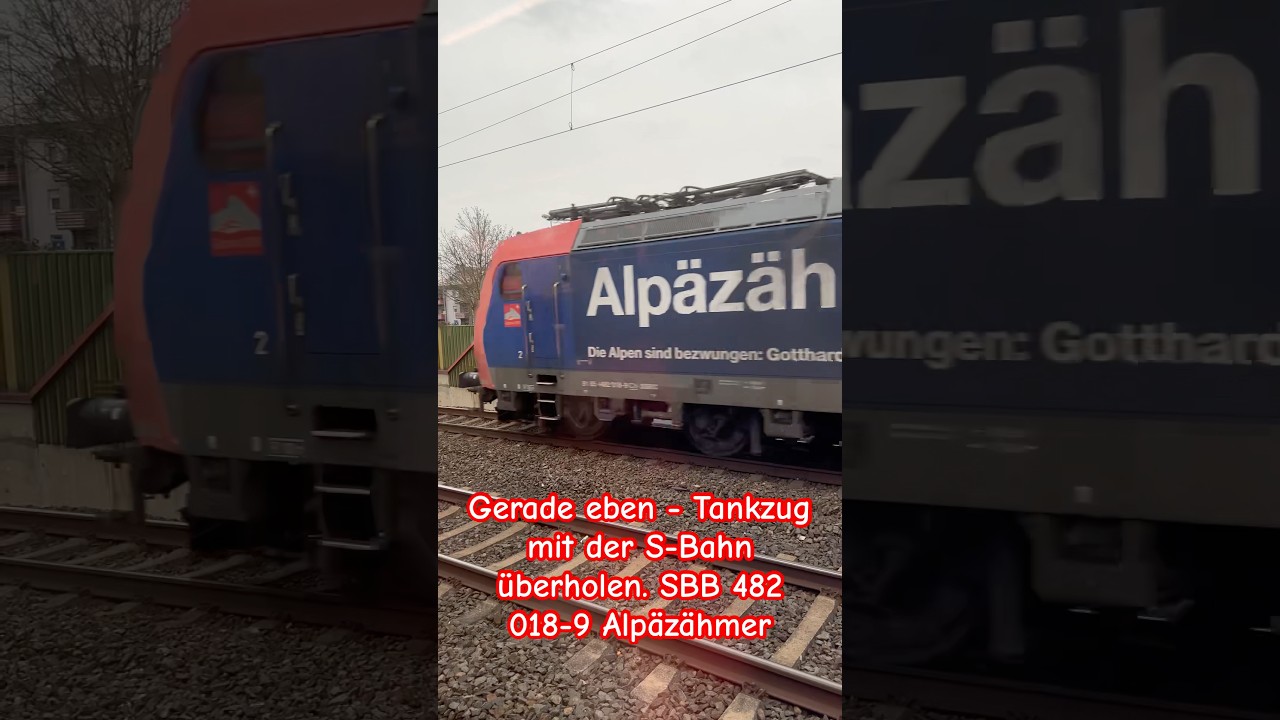 Gerade eben - super cool Tankzug mit der S-Bahn &uuml;berholen. SBB 482 018-9 Alp&auml;z&auml;hmer