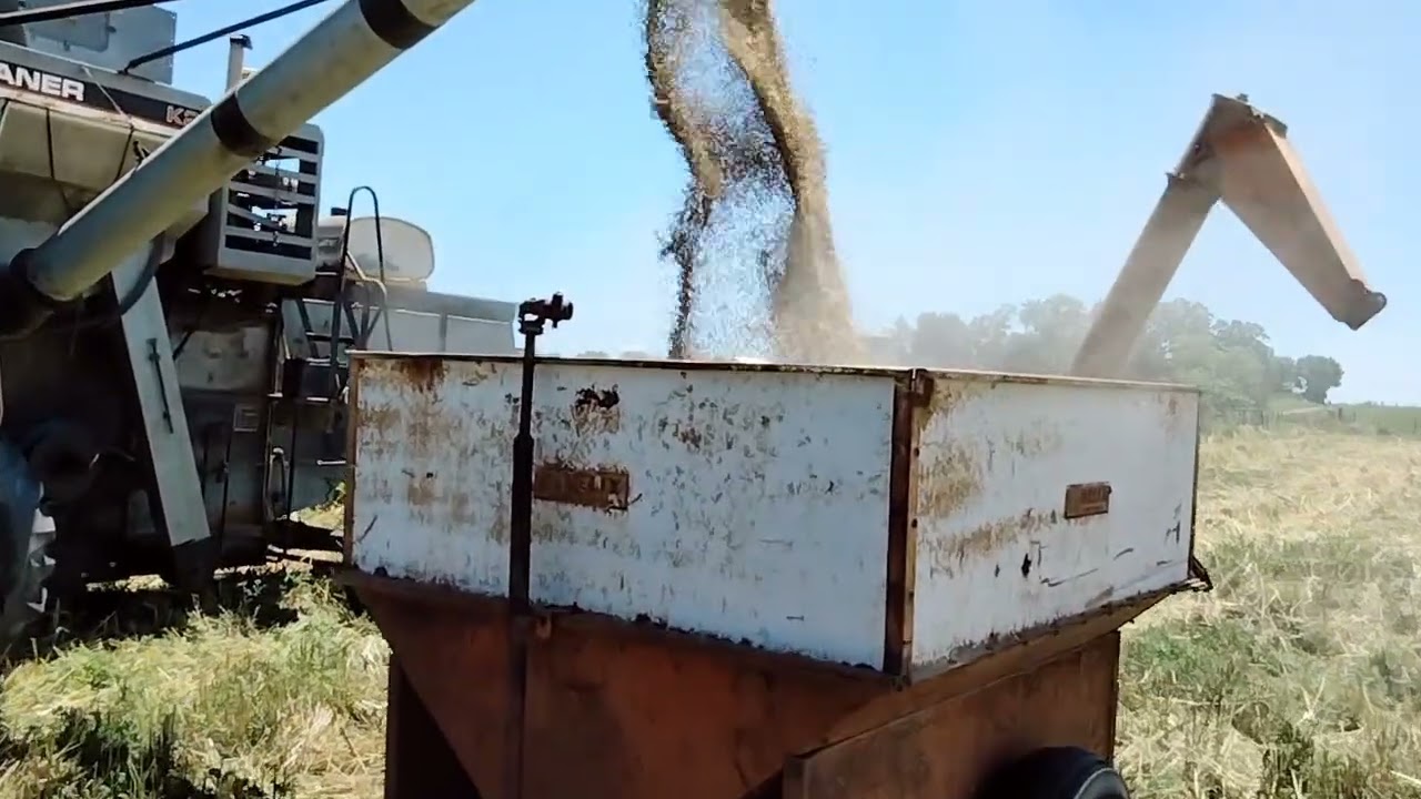 Unloading oats round two