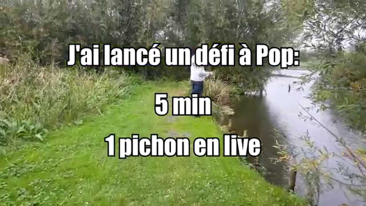 Pecqueux d'Arleux - D&eacute;fi 01 -