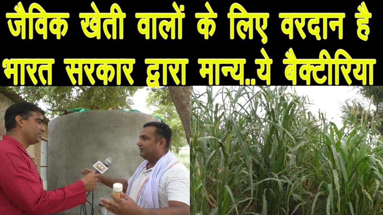 जैविक खेती के लिए वरदान ये बैक्टीरिया Jaivik Kheti Best Example Of Organic Farming (Jaivik Kheti)