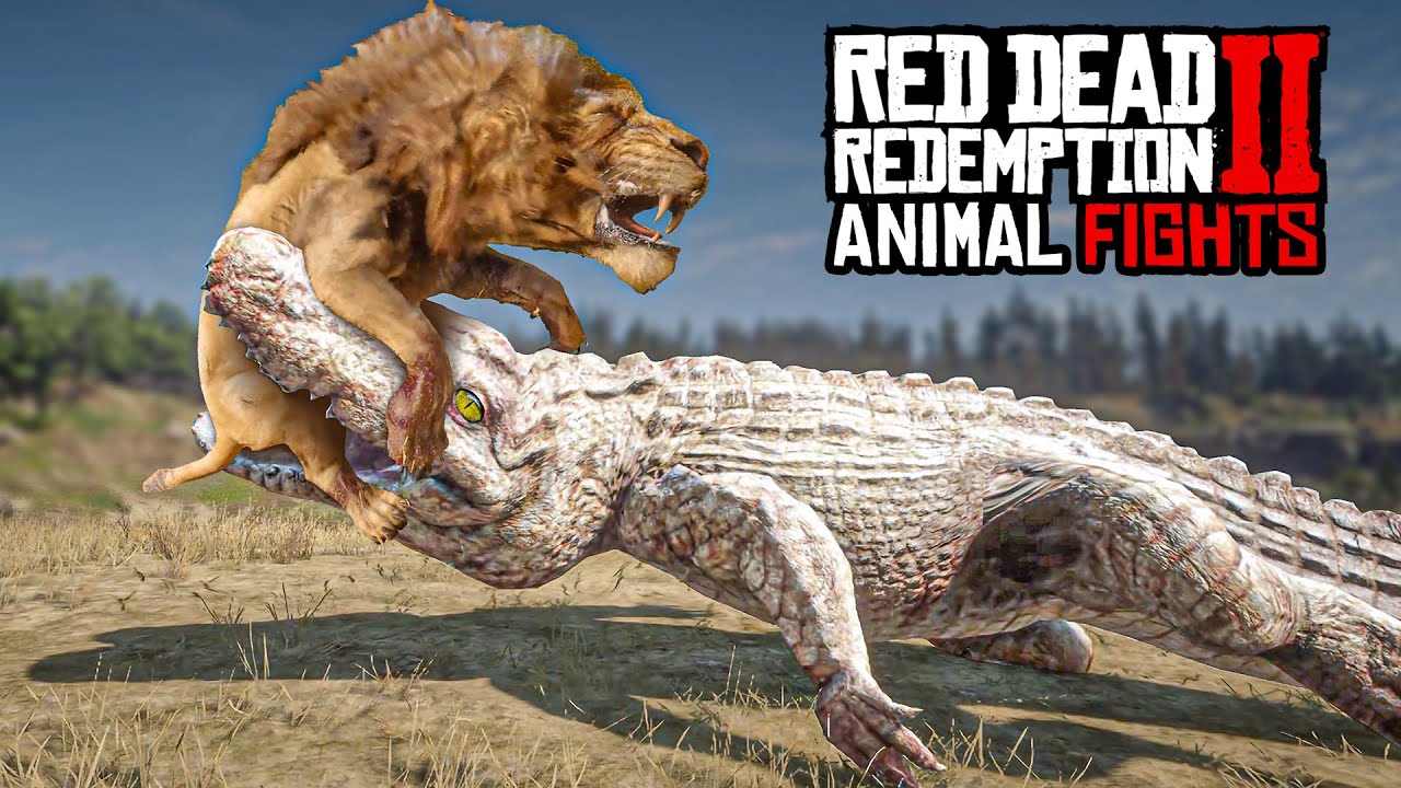 Animal Fights in Red Dead Redemption 2 - Winner Stays On Challenge!