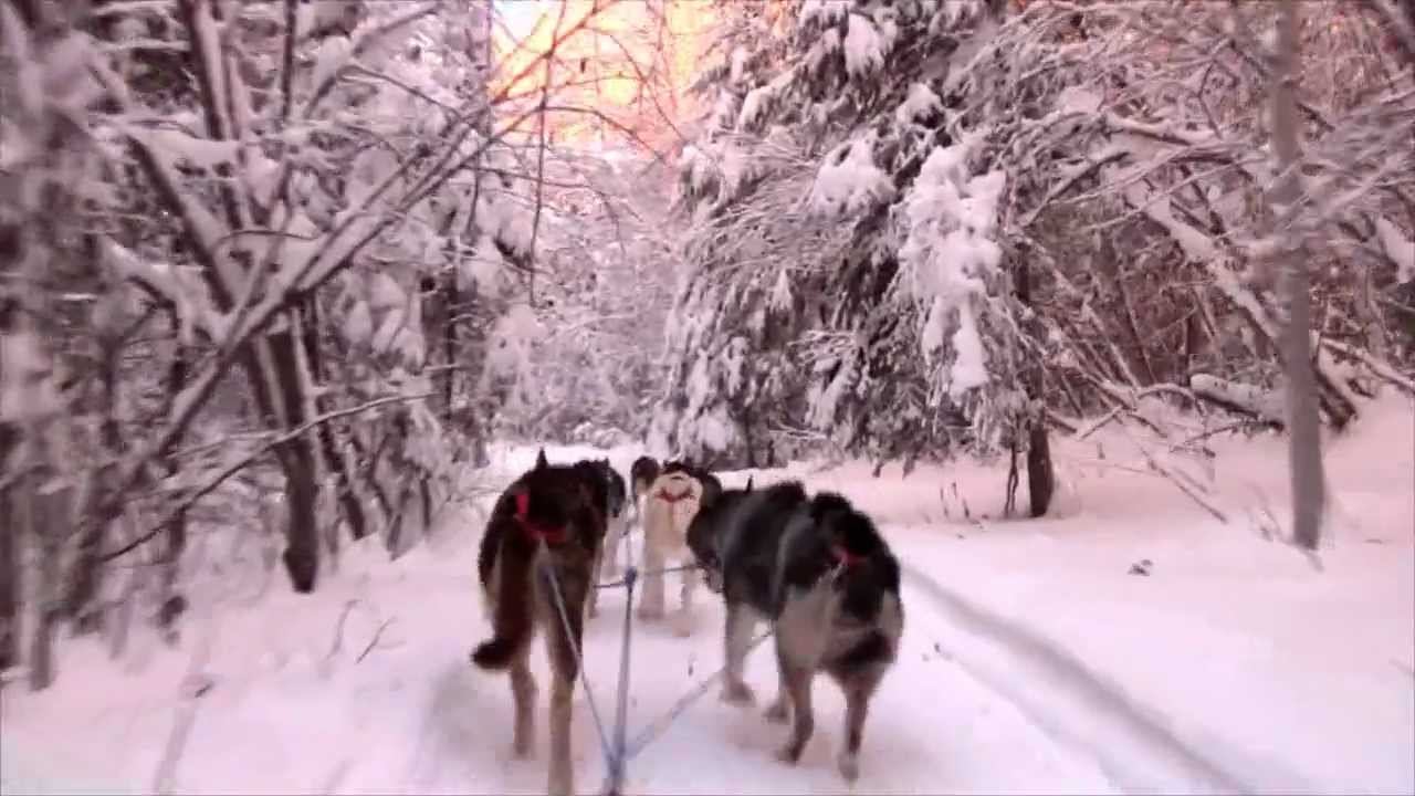 Fairbanks in the Winter