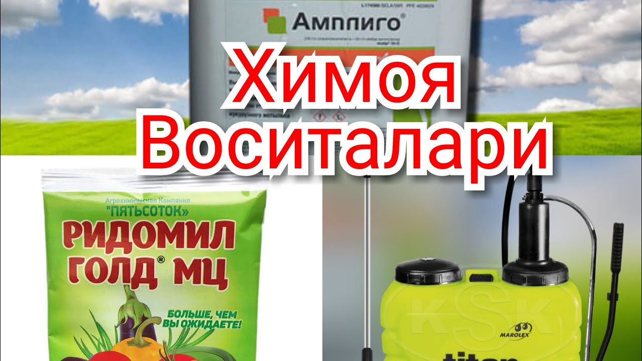 28.  Pomidor himoya vositalari