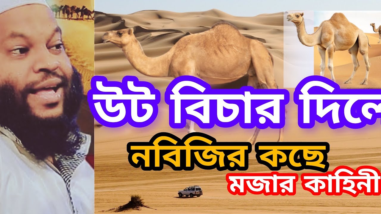 উট বিচার দিলো! নবিজির কাছে এক আশ্চর্য ঘটনা | ক্বারী সাইদুল ইসলাম আসাদ