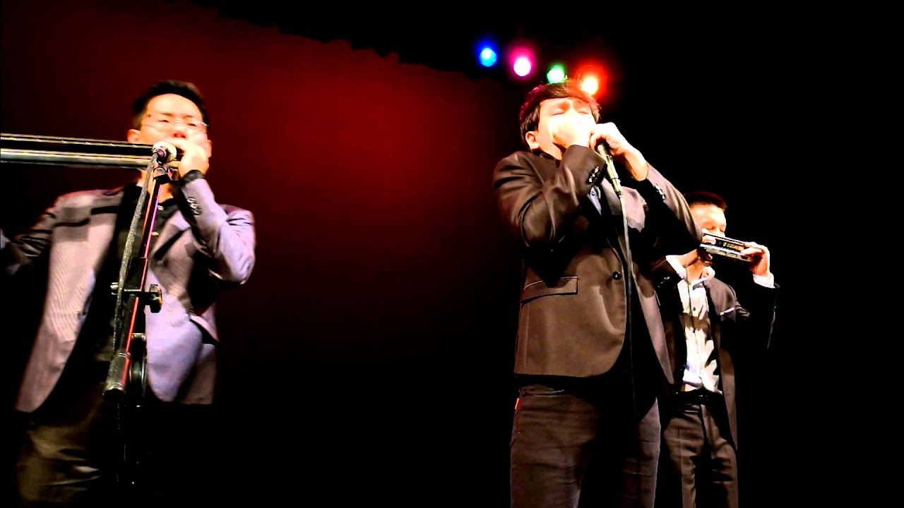 The Bird in the Dust - Judy's Harmonica Ensemble (1080P)