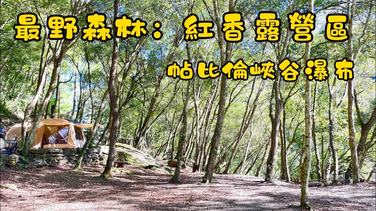 第73露 紅香D2區/1141107～09/空拍/南投仁愛/原始森林/秘境帖比倫峽谷瀑布