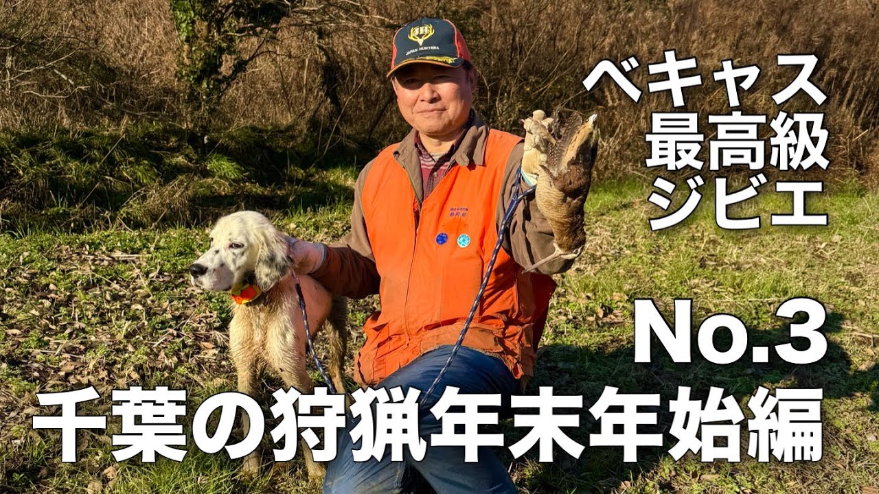 千葉の狩猟年末年始編No.3イングリッシュセターの子犬ピノ号と狙う最高級ジビエ！