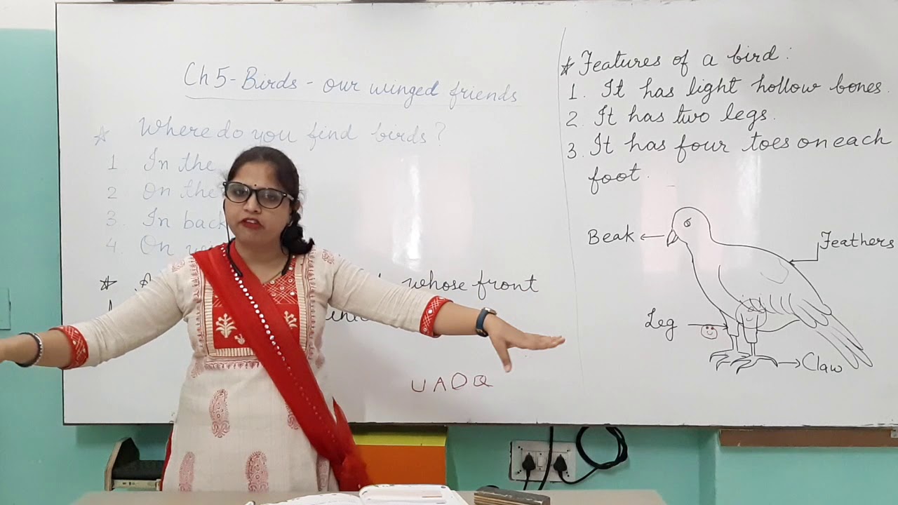 Class 3 EVS Chapter 5 Birds- Our winged friends Part 1