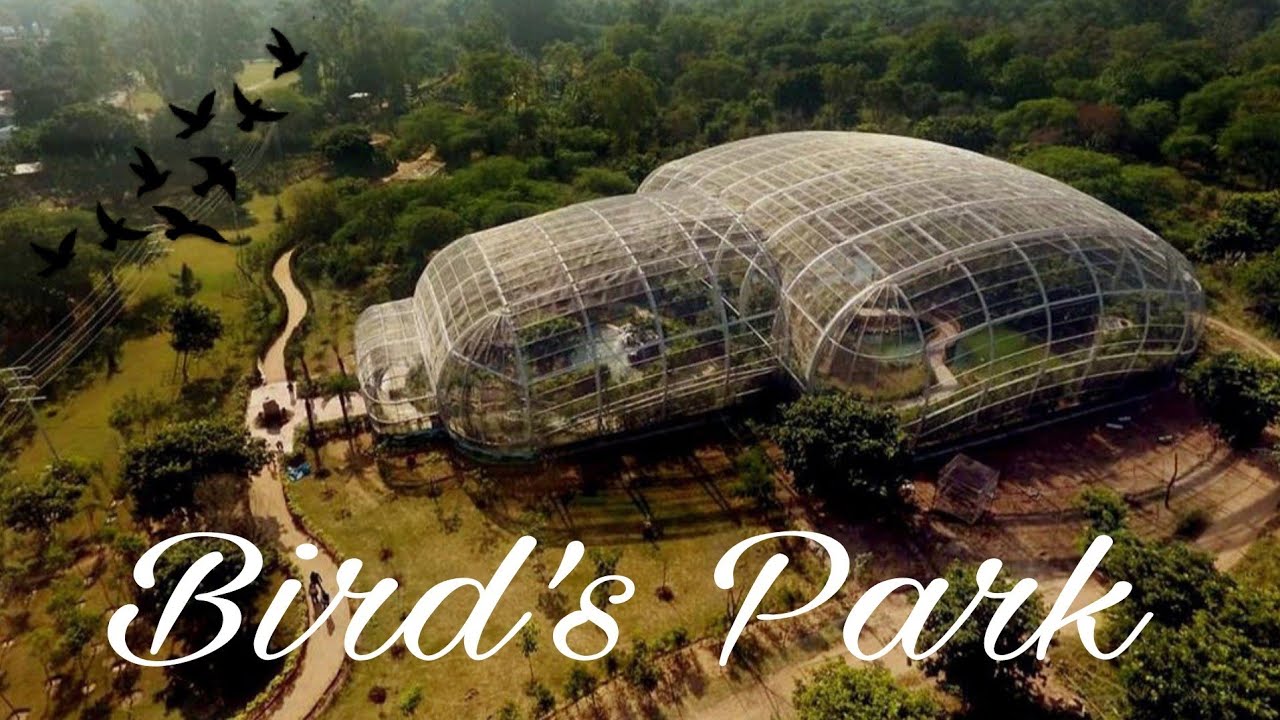 Bird Park Chandigarh || City Forest || Near Rock Garden,Sukhna Lake