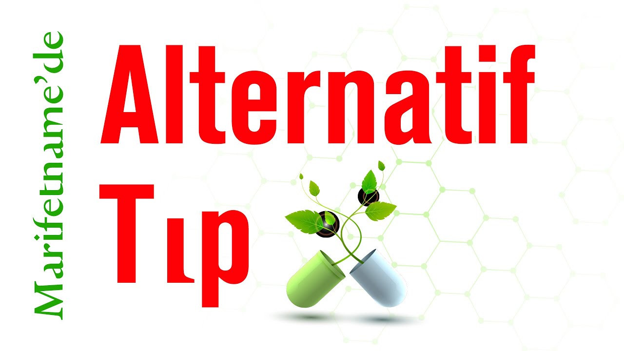 Hangi Bitki Ne İşe Yarar? Şifalı Bitkiler Rehberi