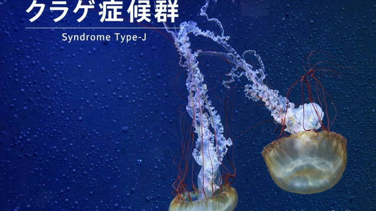 (original)クラゲ症候群