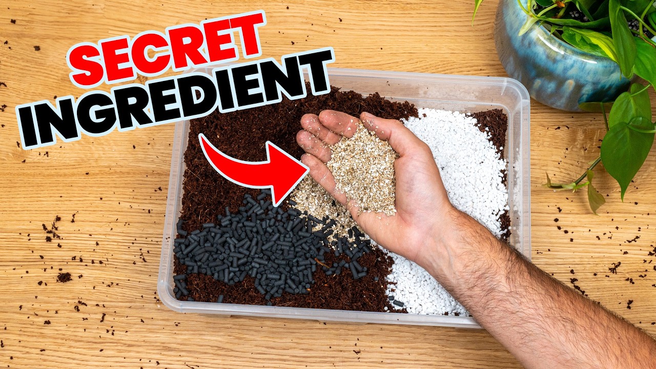 Make Your Own Soil That Your Plants Will Love