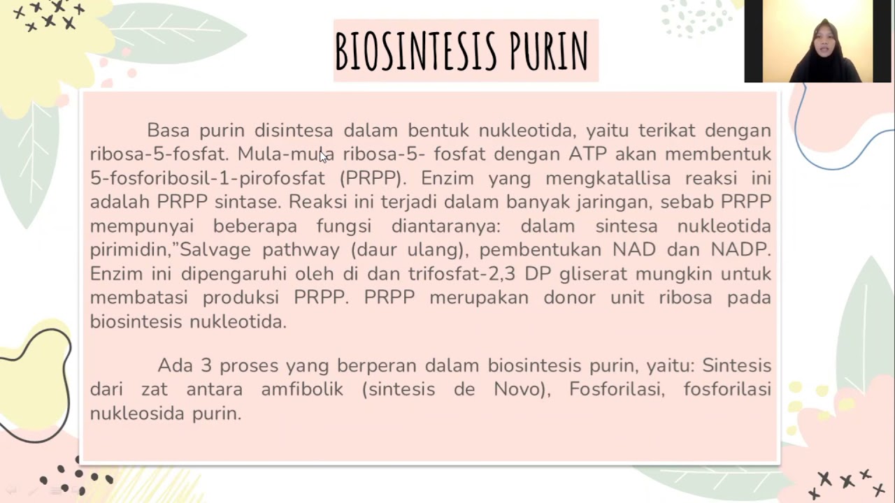 Metabolisme Basa Nukleat (Biosintesis Purin dan Sintesis Pirimidin)