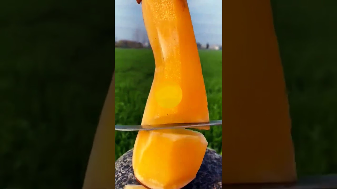 Enjoy Beautiful Nature Pride #shorts #viralvideo #trending
