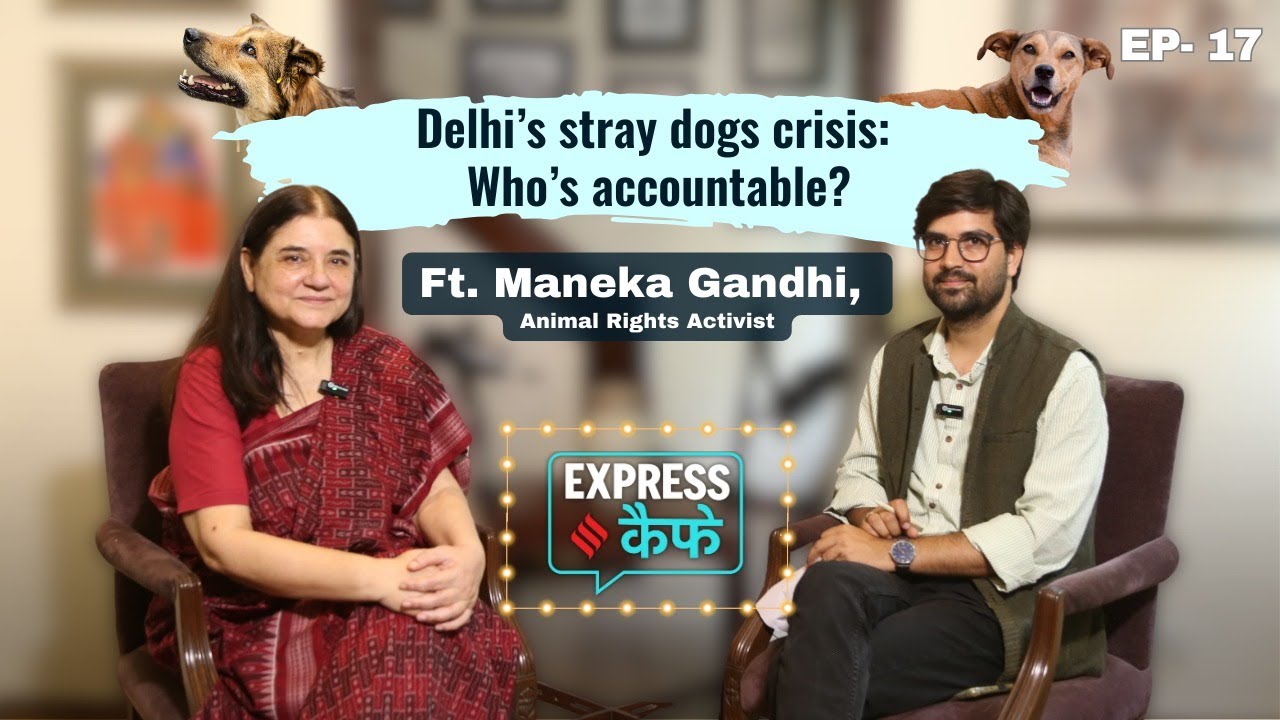 Maneka Gandhi Podcast: Supreme Court Order on shifting stray dogs to shelters | Express Cafe