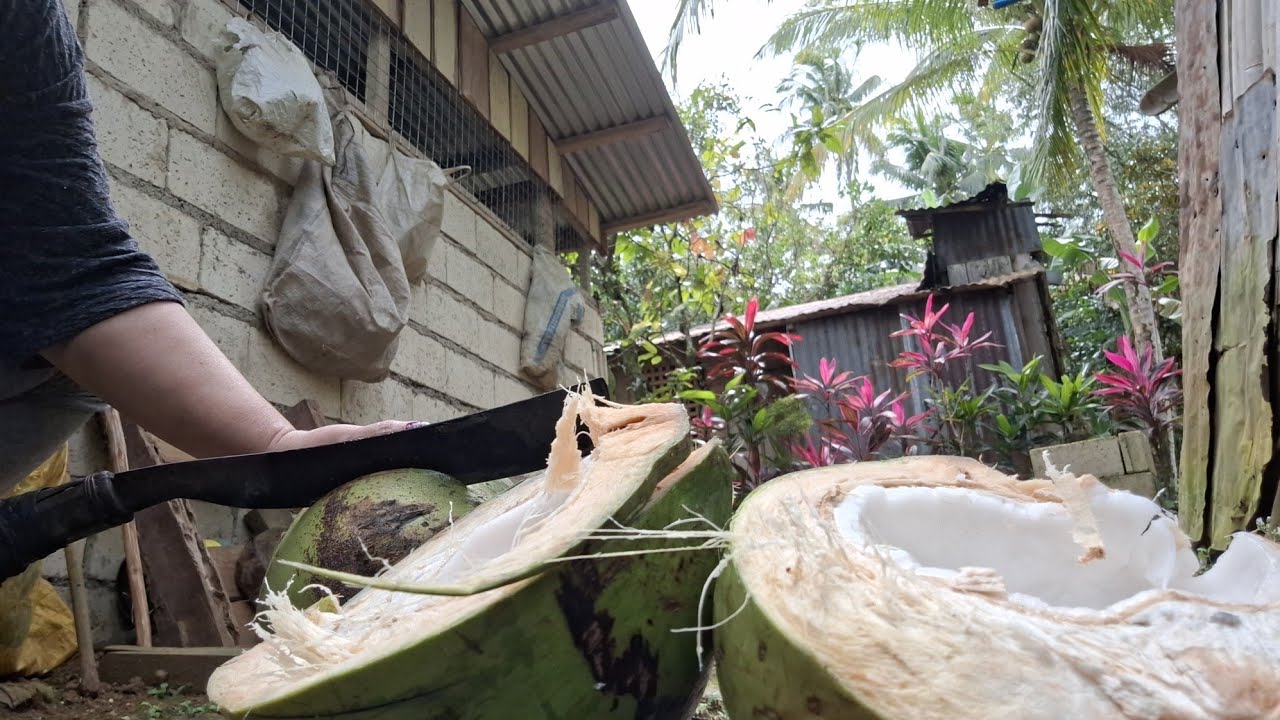 Tara magluto tayo ng simpling gulay sa aming payak na tahanan