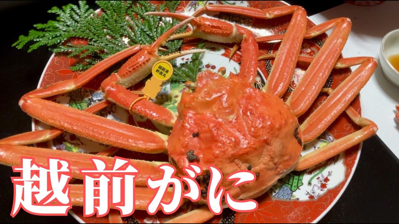 冬のご褒美旅｜越前がにと海釣りを楽しむ夫婦旅【福井・越前市Vlog】