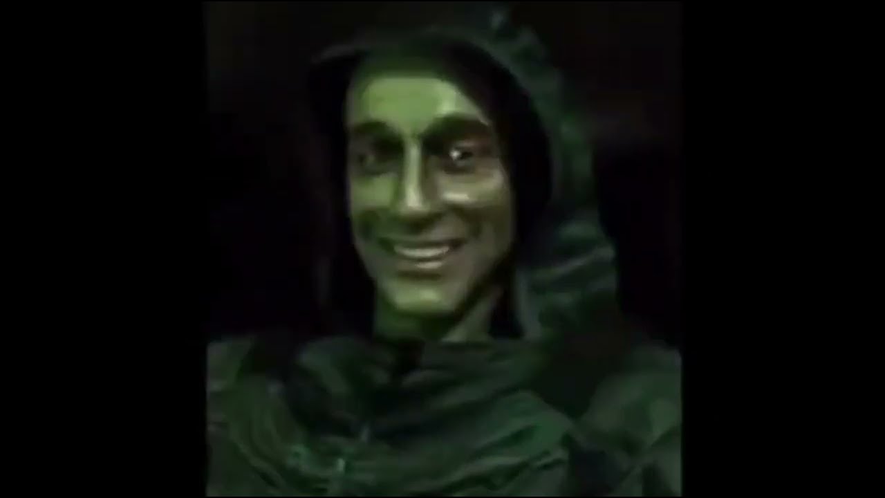 A compilation of smuggled Stalker memes