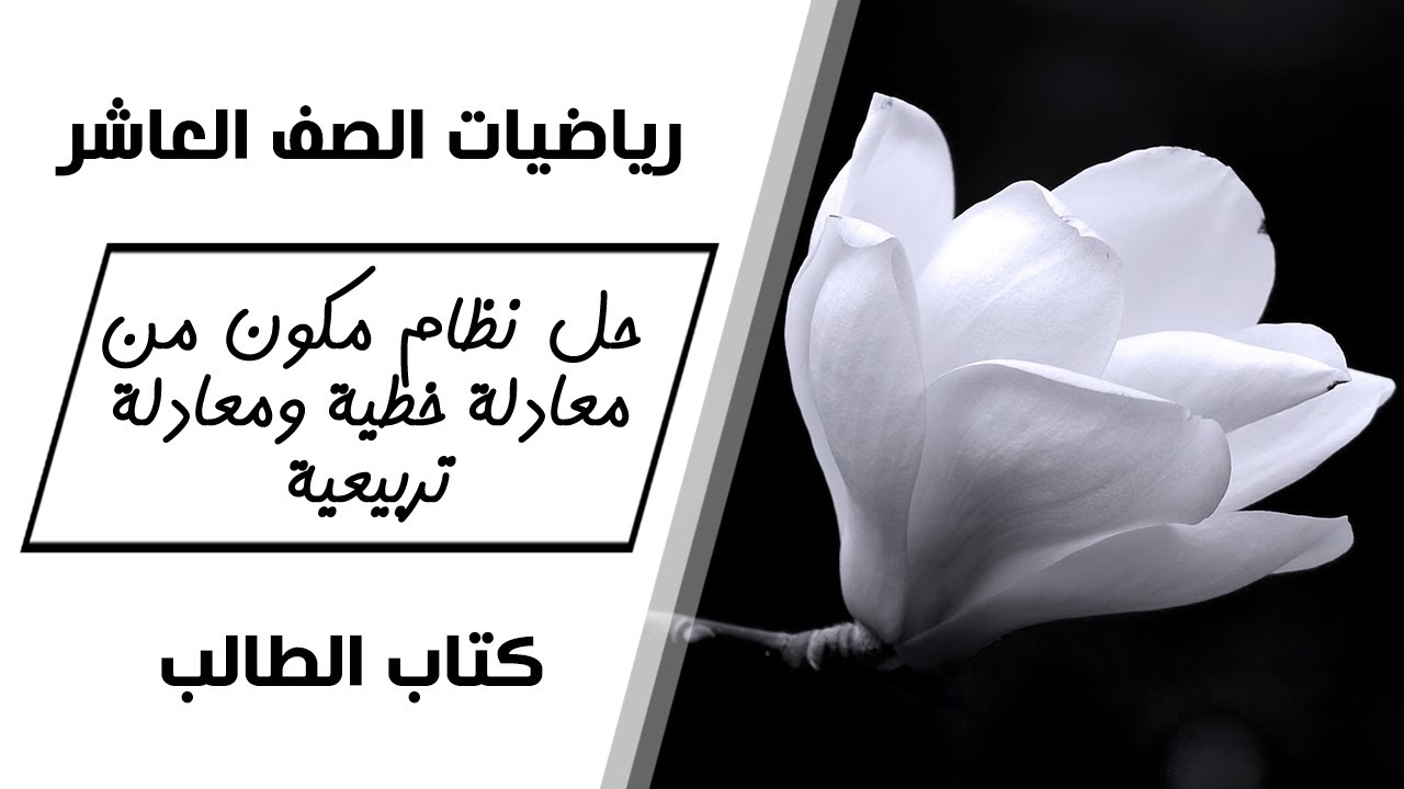 رياضيات الصف العاشر | حل نظام مكون من معادلة خطية ومعادلة تربيعية