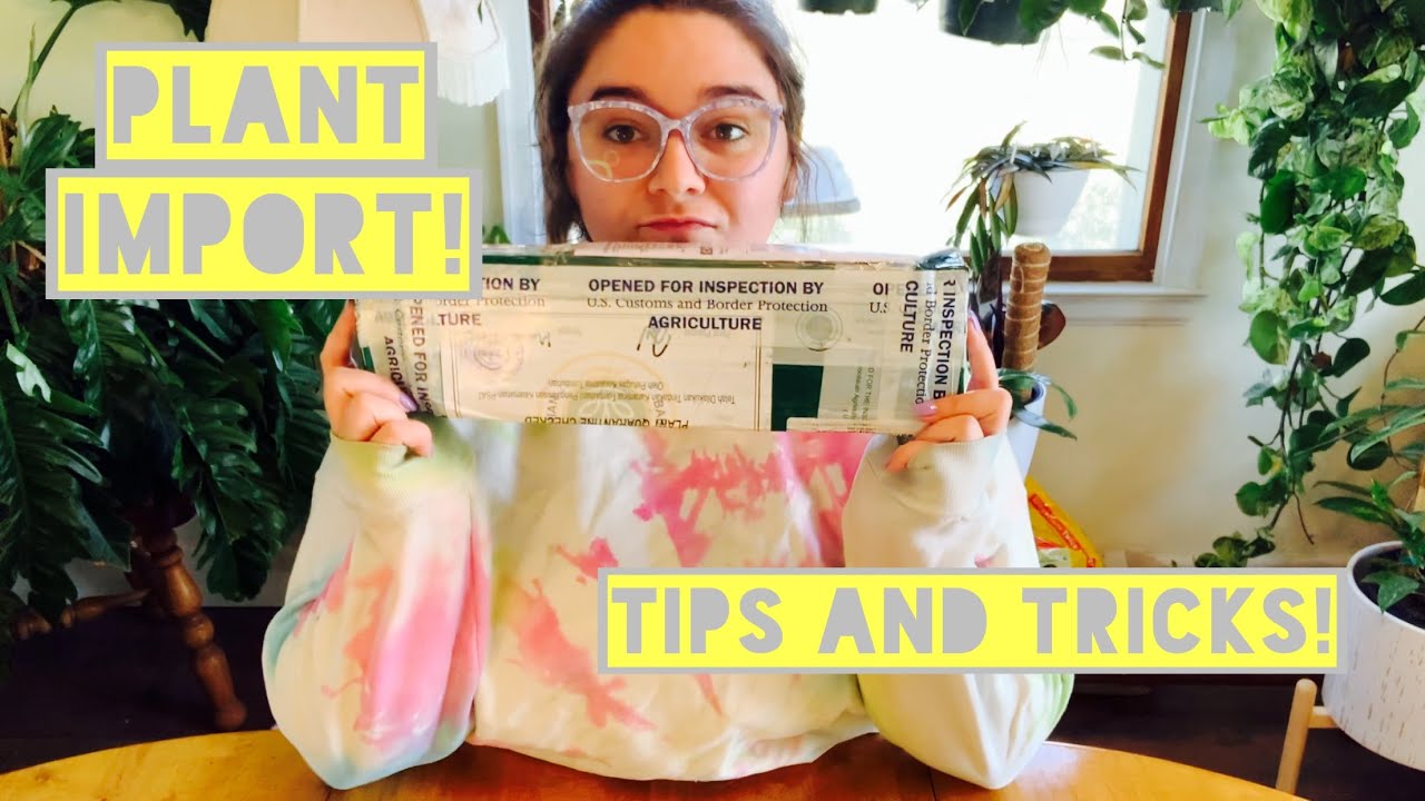 Importing Plants Tips & Tricks!