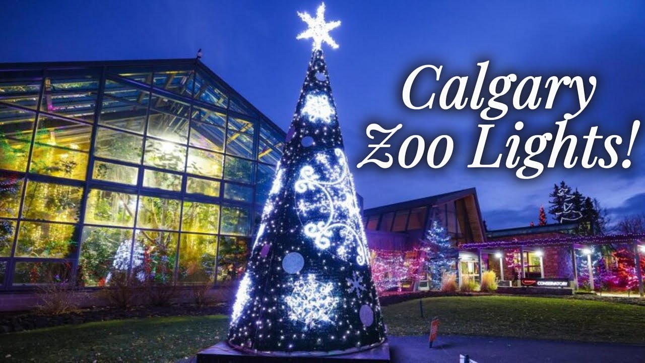 Calgary Zoo Lights Night Walk | Winter Magic ✨