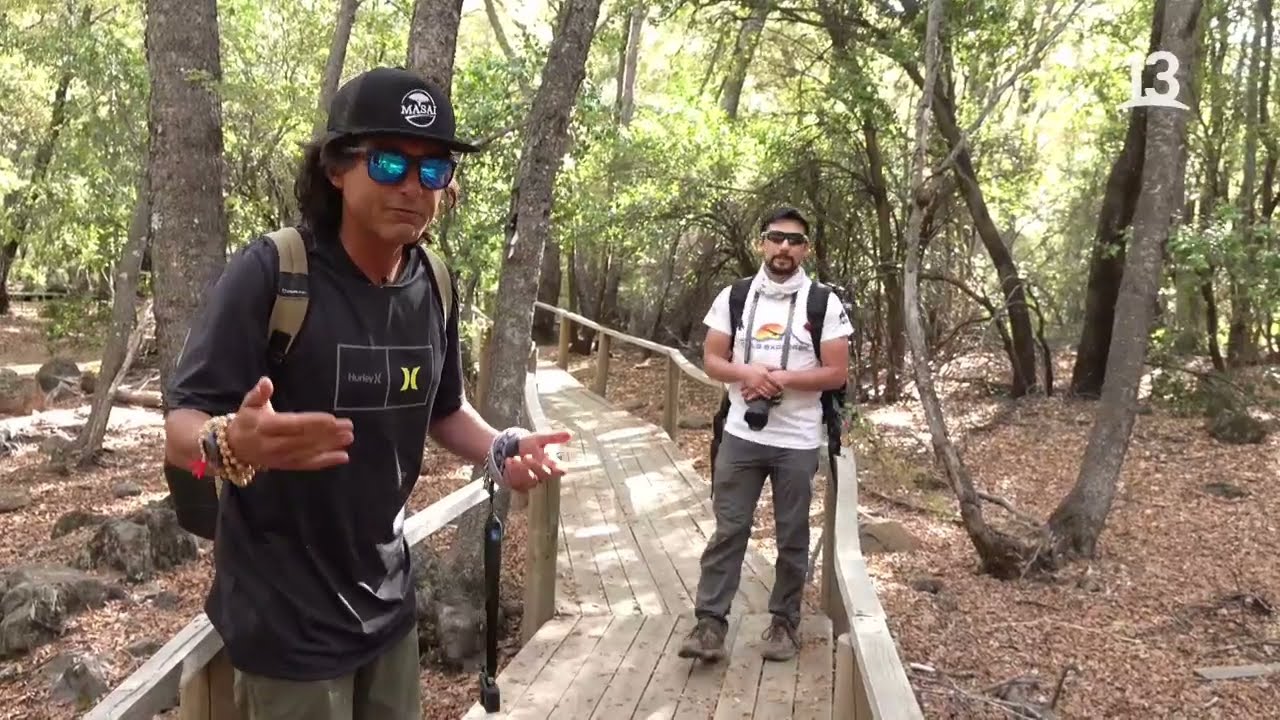 Comenzamos la ruta para conocer el Parque Nacional Radal Siete Tazas. Ruta 5, 2021.