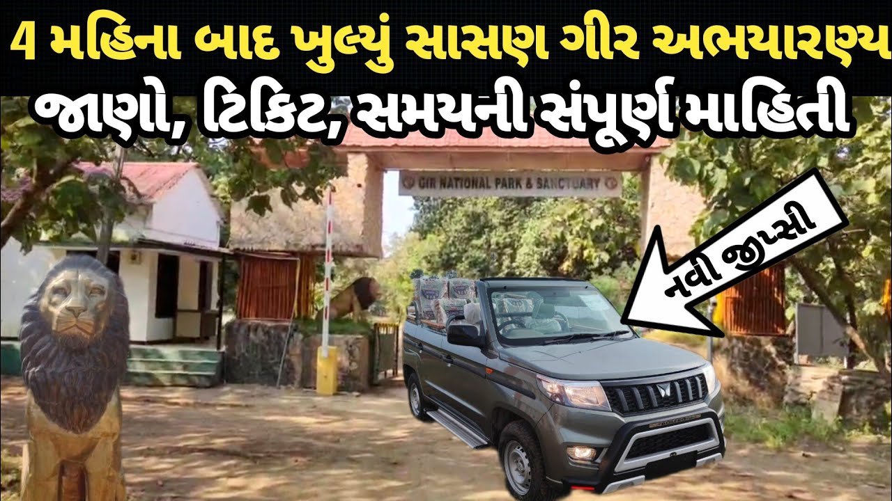સાસણ ગીરમા સિંહ દર્શન અને જંગલ સફારી શરૂ || જાણો ટિકિટ, સમયની સંપૂર્ણ માહિતી | sasan gir tour detail
