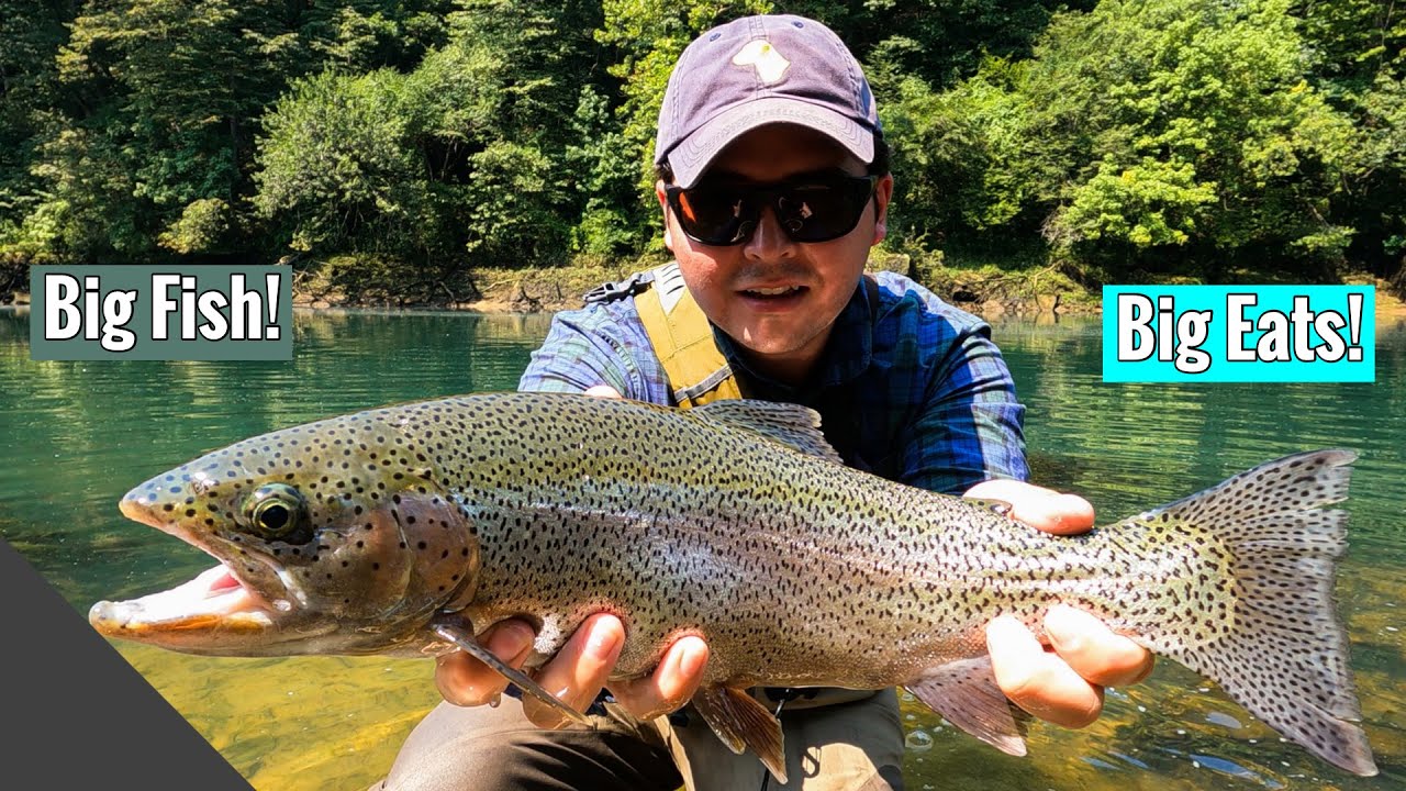 Catching Big Trout At The Little Red River. Heber Springs, AR (Surprise Walleye)