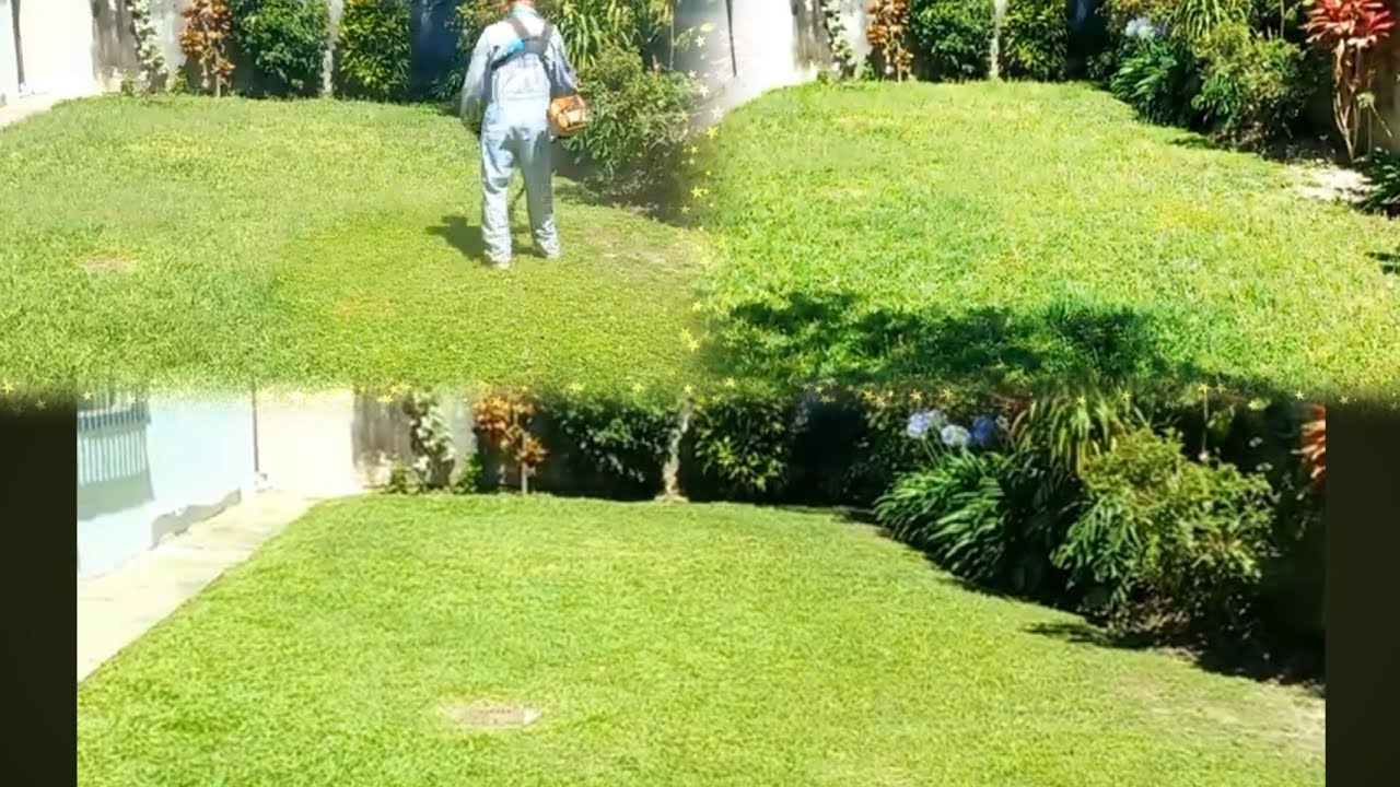 Cortando el césped frente de casa y patio  resultados muy lindo edgar ceballos 