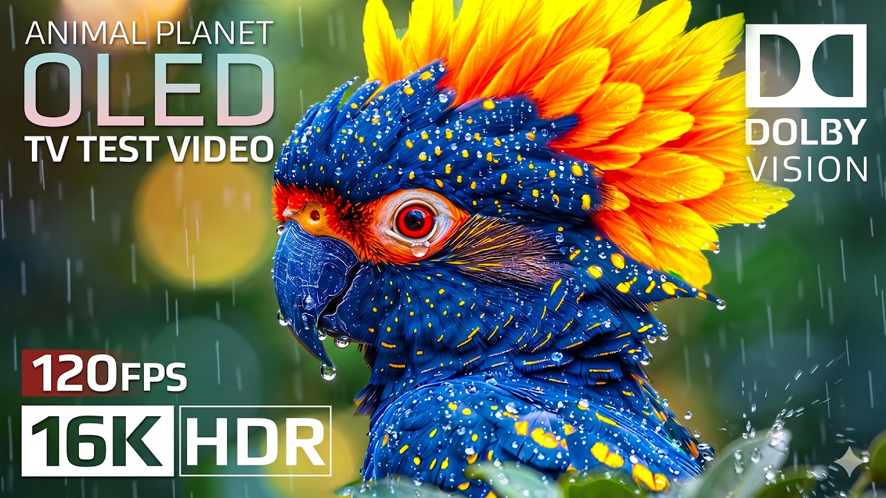 16K Video OLED 120FPS 🌏 Earth Dolby Vision HDR Test (8K/4K TV)