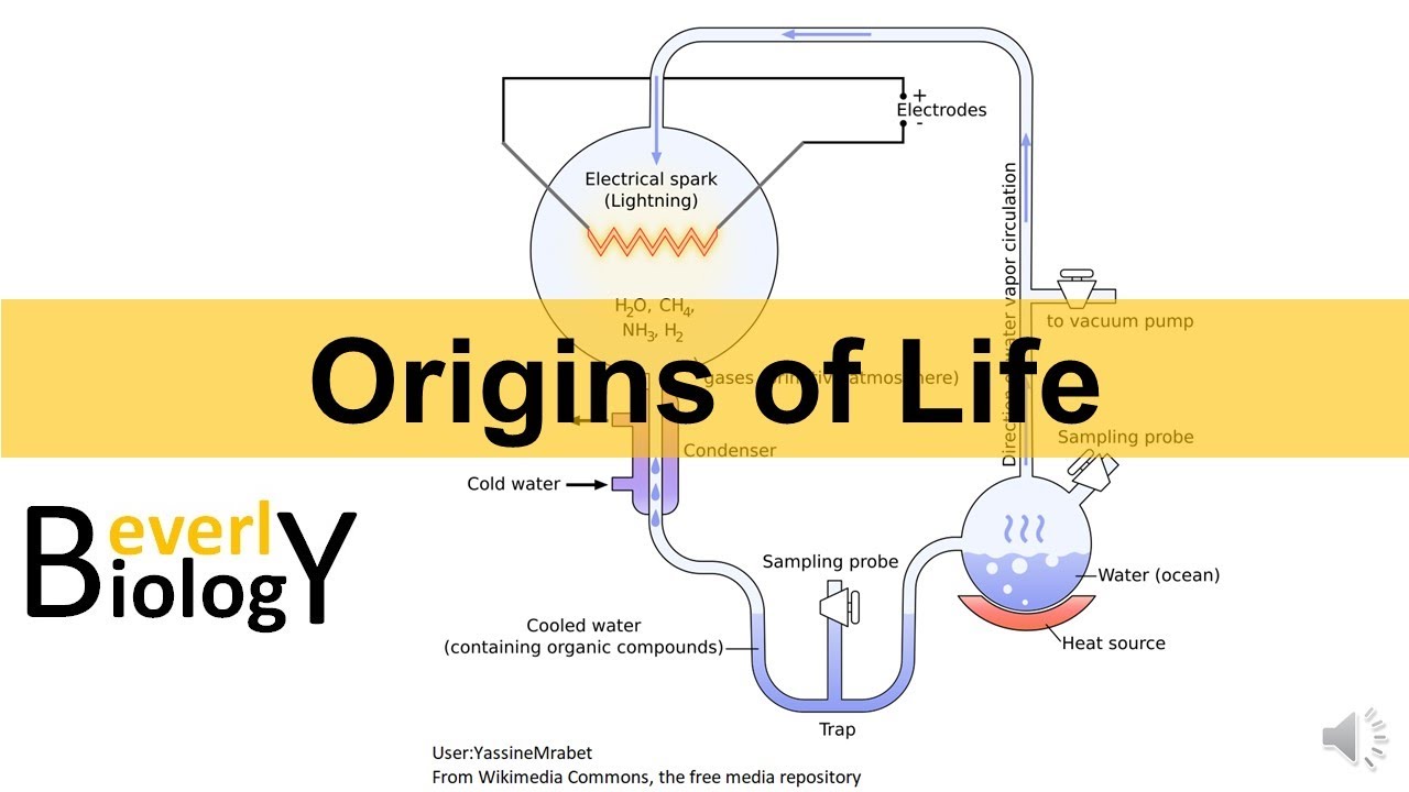 Origin of Life (updated)