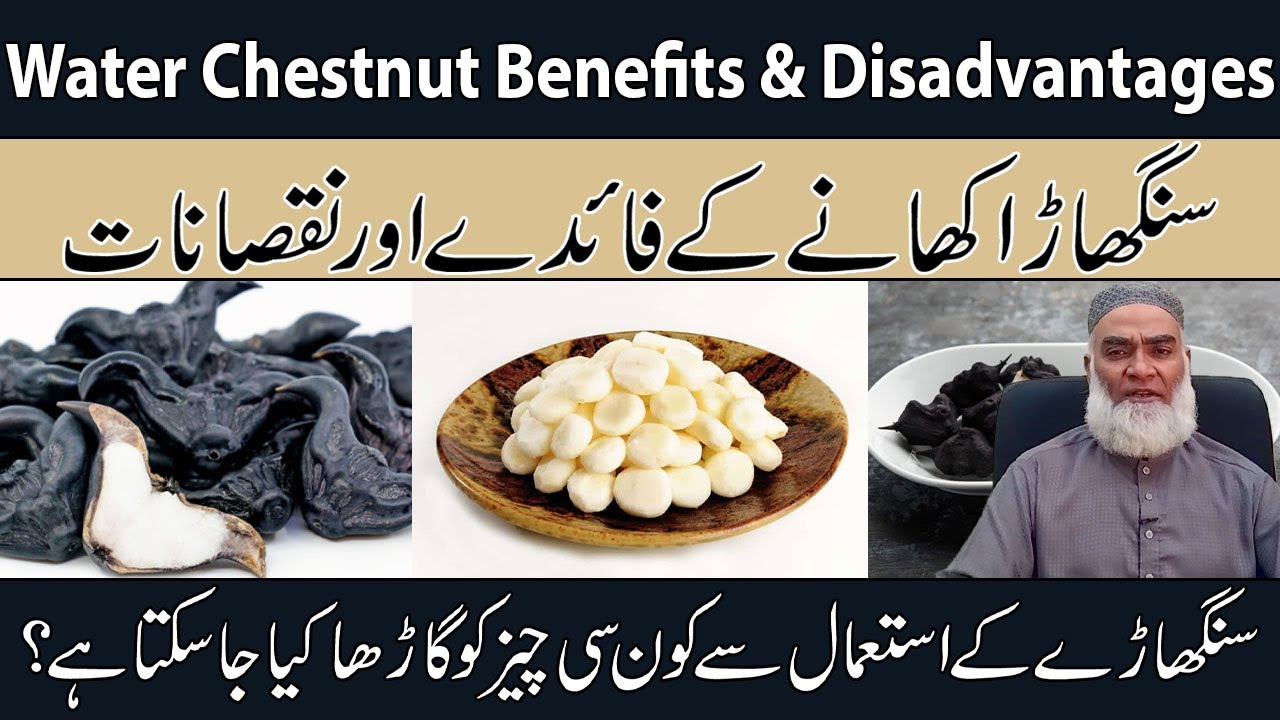 Water Chestnut Benefits & Disadvantages Urdu | Singada Ke Fayde Aur Nuksan |Al-Razaqi Health Recover