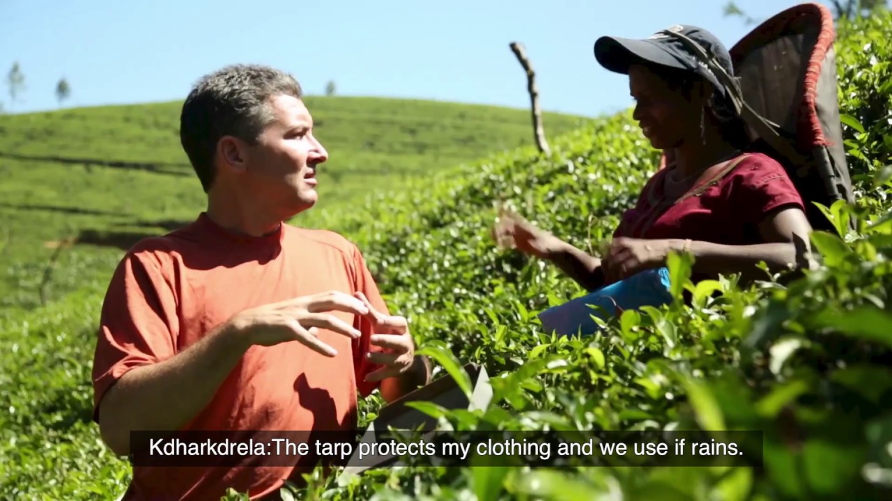 Sri Lanka: Deaf Tea Plucker