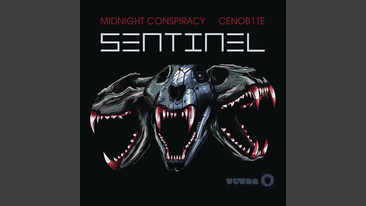 Sentinel (Original Mix)