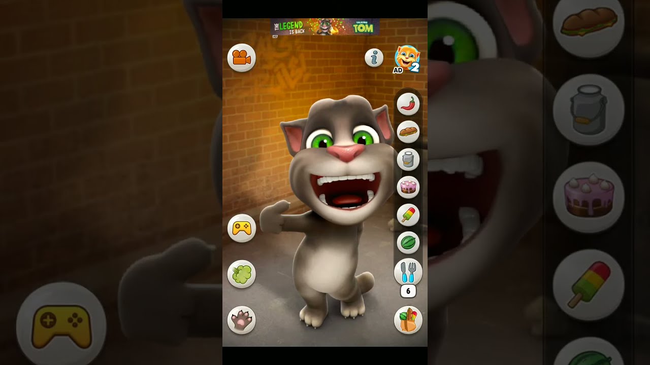 talking tom cat live