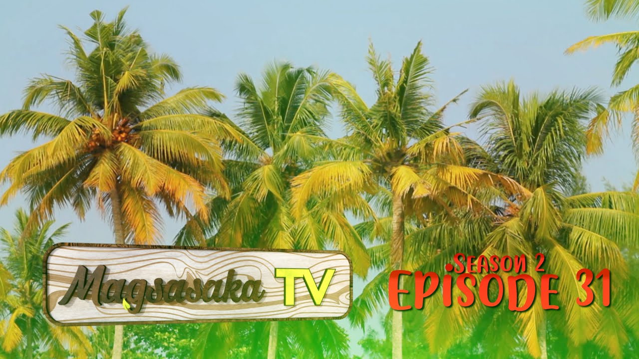 Coconut Farming (Episode 31)