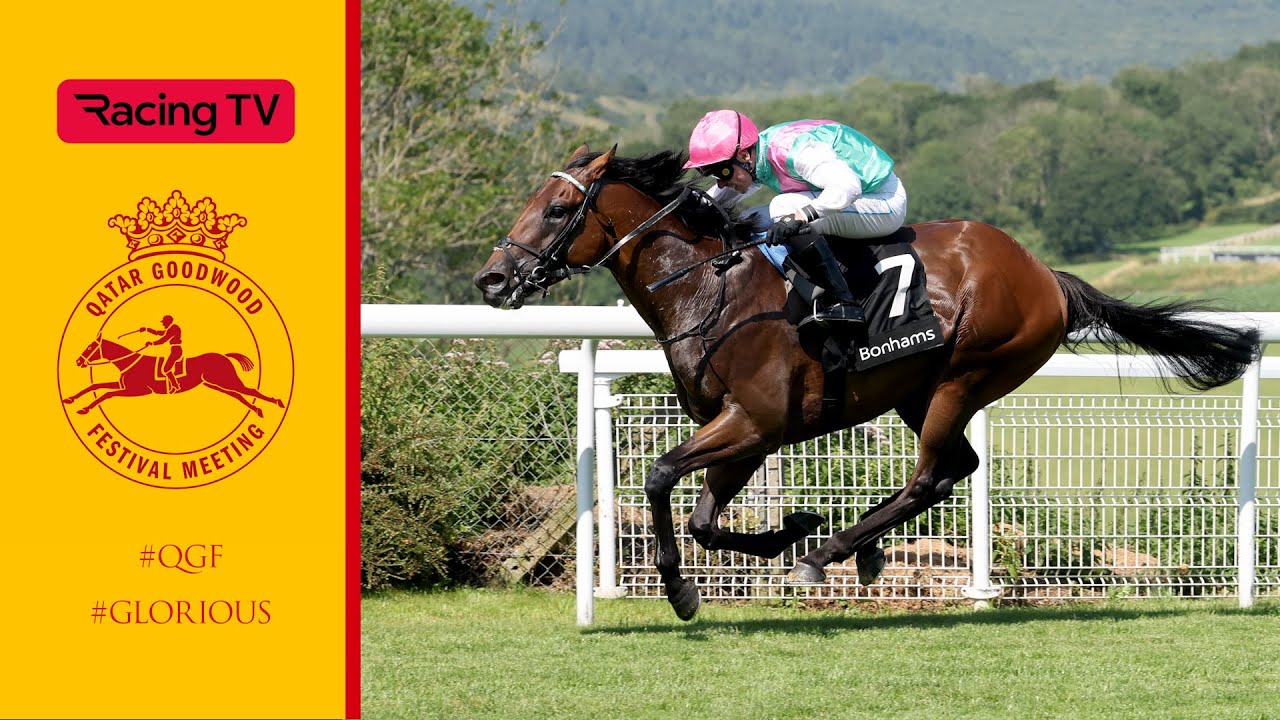 LEAD ARTIST gives Shoemark important winner in Thoroughbred Stakes