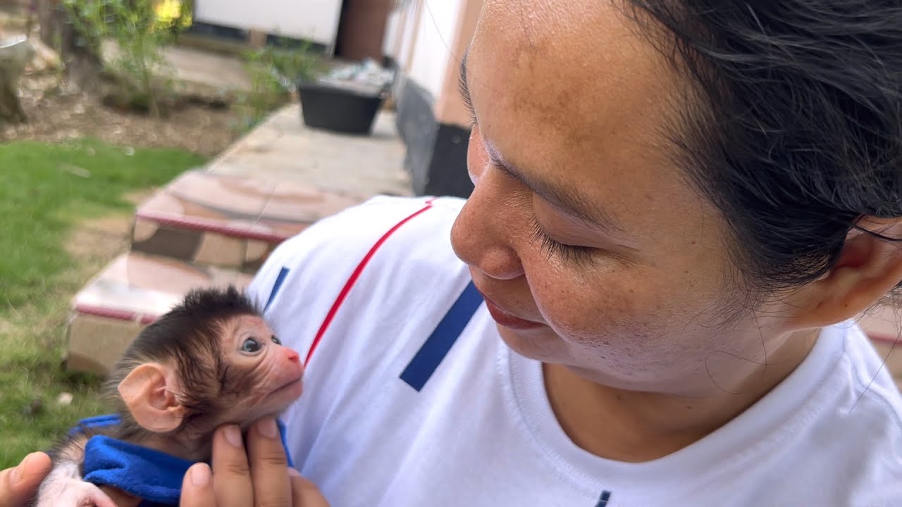 Oh my goodness, this newborn baby monkey is looking at Erna with so much love.