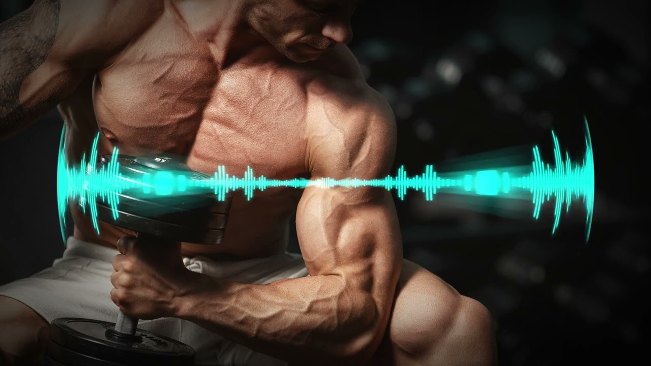 Automated Muscle Building Workout Field - Upper Body, Legs, Calves and Feet - Fat to Lean Muscles