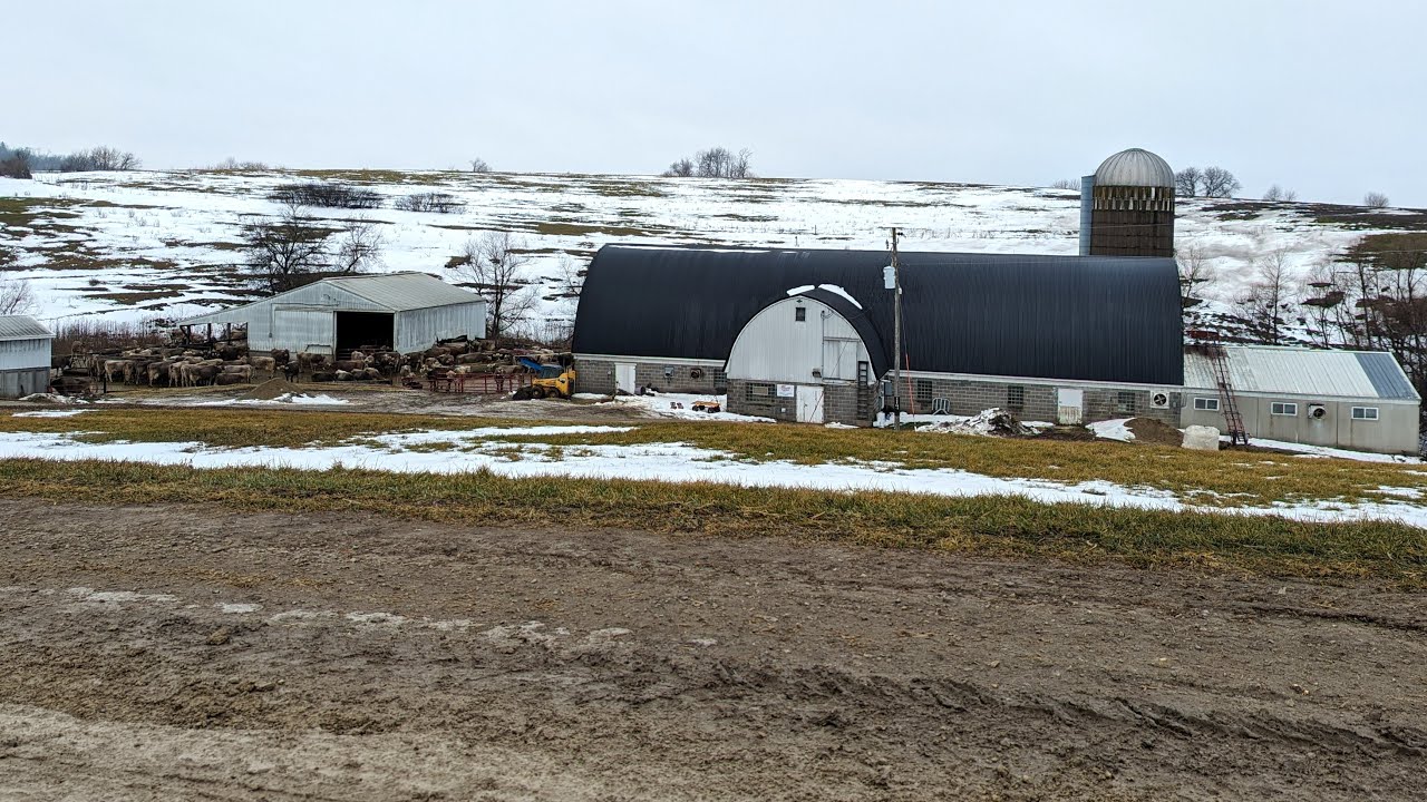 Inside look at WINTER CHORES at Viking Valley Farm!