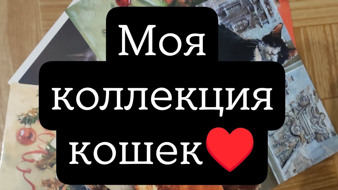 Обзор моей коллекции кошек // открытки// посткроссинг// коллекция