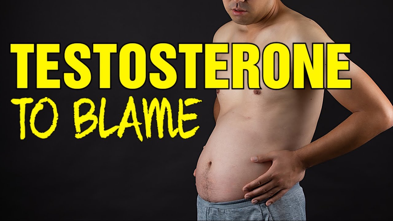 Testosterone For Fat Loss