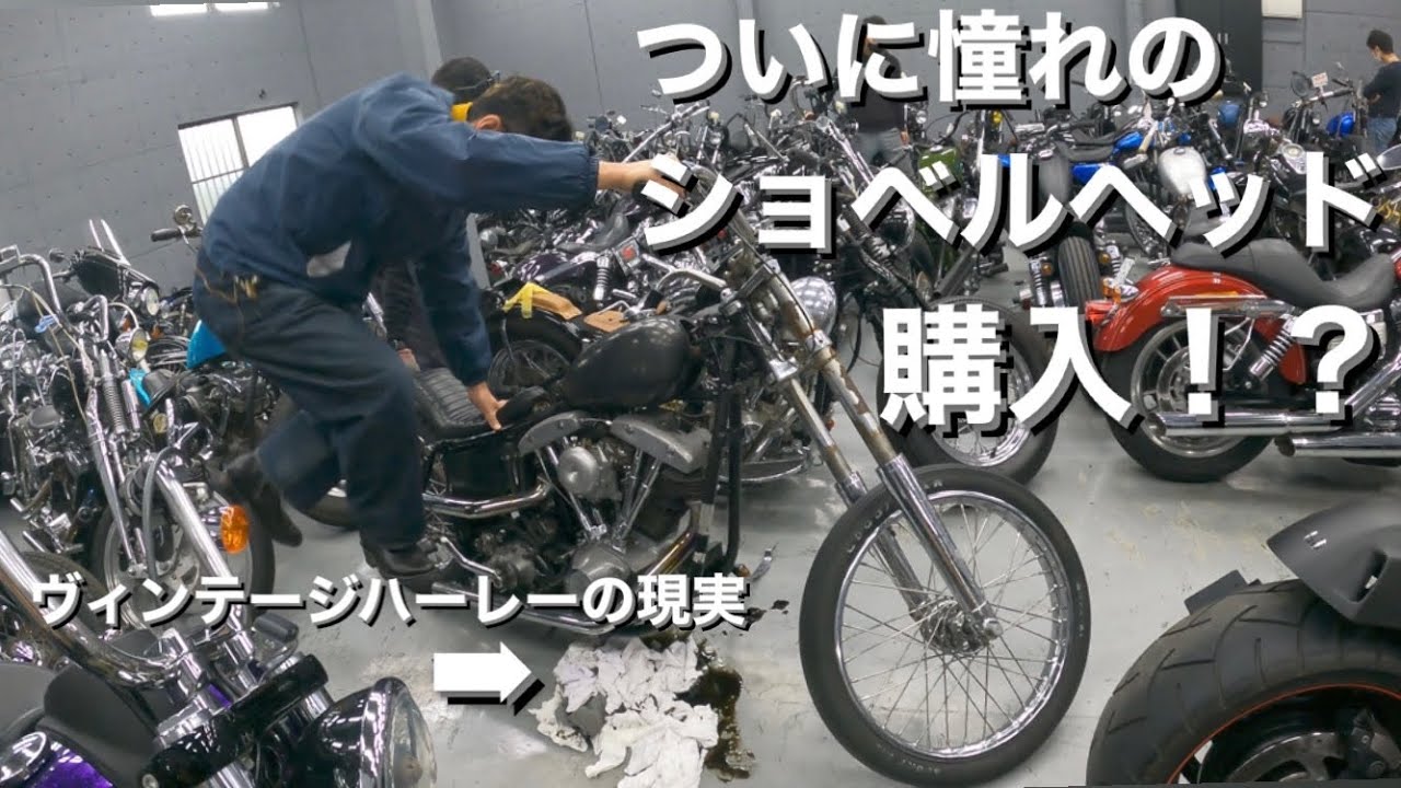 【ハーレー】ついにショベルヘッド購入！？