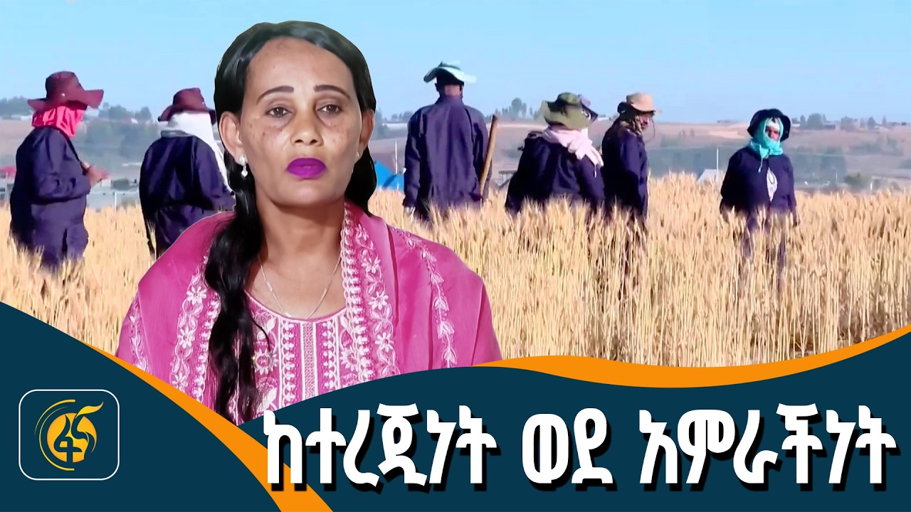 የከተሞች ልማታዊ ሴፍቲኔትና ስራ ፕሮጀክት ግምገማ /የኛ ከተማ/