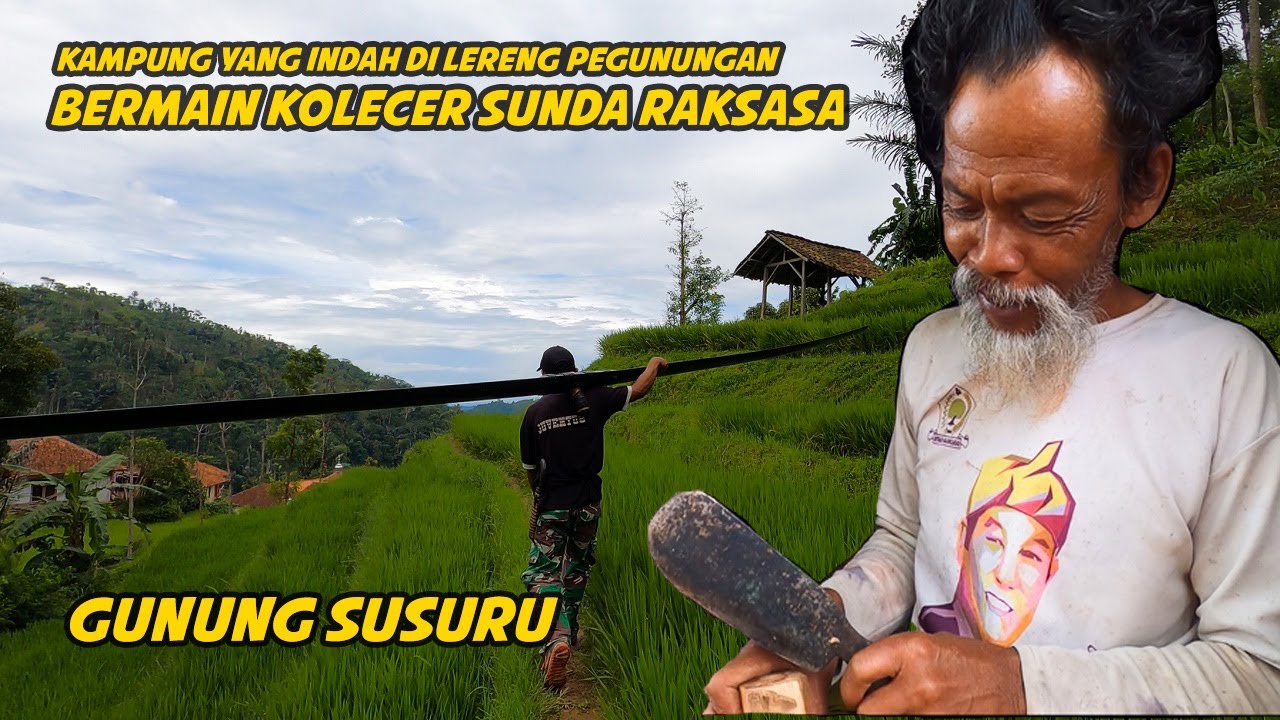 MELIHAT KOLECER SUNDA GUNUNG SUSURU.. dan Suasana Kampung yang Sangat Indah di Lereng Pegunungan